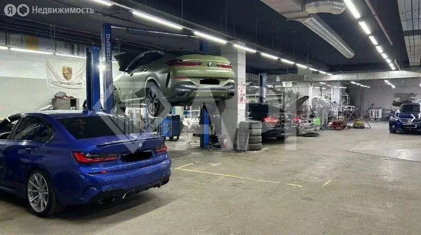 Помещение свободного назначения (502 м) - Фото 2