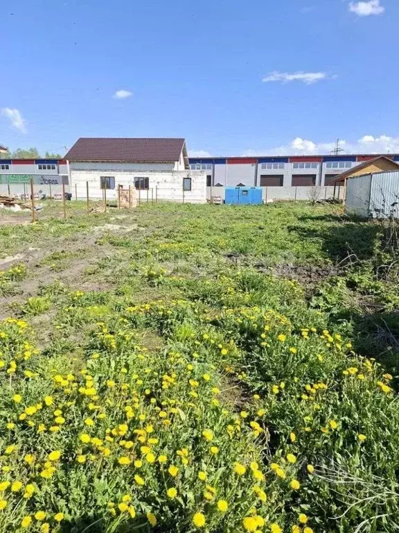 Участок в Новосибирская область, Новосибирский район, Станционный ... - Фото 1