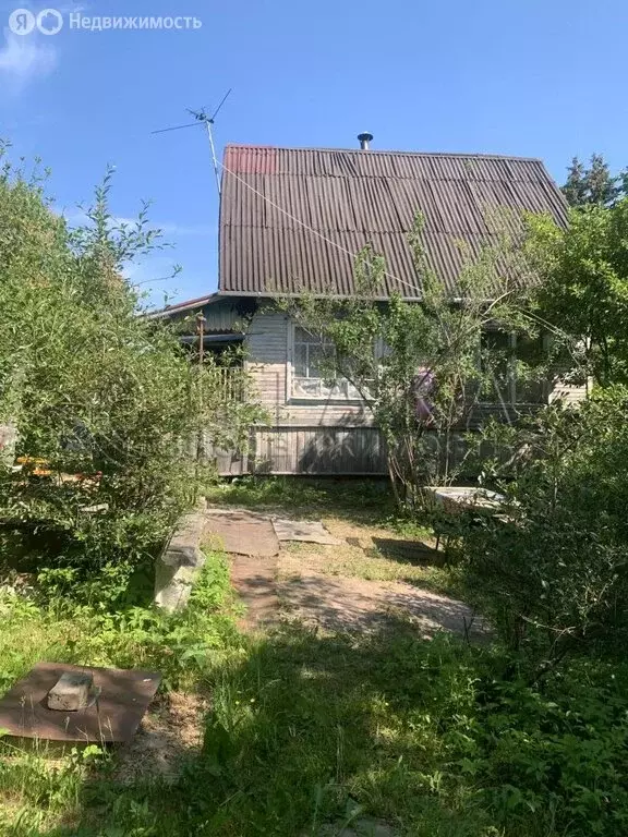 Дом в Лесколовское сельское поселение, СНТ Дружное-3, 559 (50 м) - Фото 0