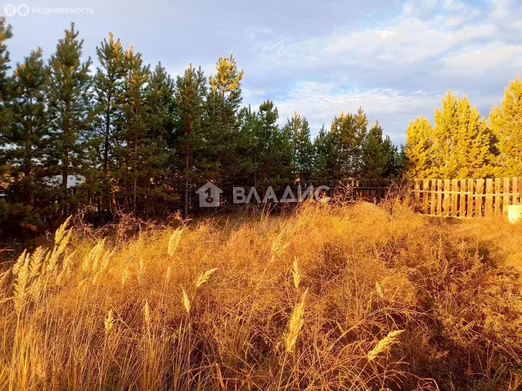 Участок в Тарбагатайский район, муниципальное образование Саянтуйское, ... - Фото 0