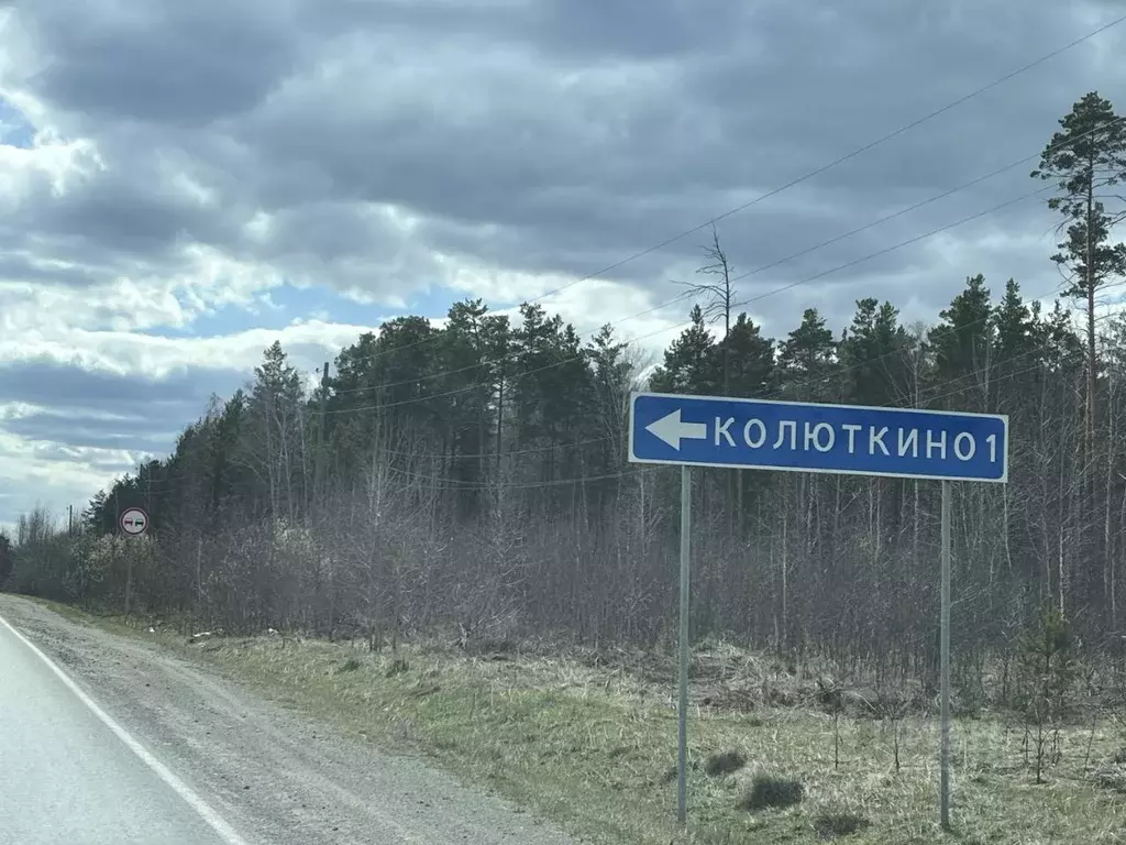 Дом в Свердловская область, Белоярский муниципальный округ, с. ... - Фото 1
