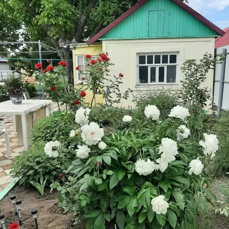 Дом в Краснодарский край, Ейск ул. Павлова, 220 (66 м) - Фото 2