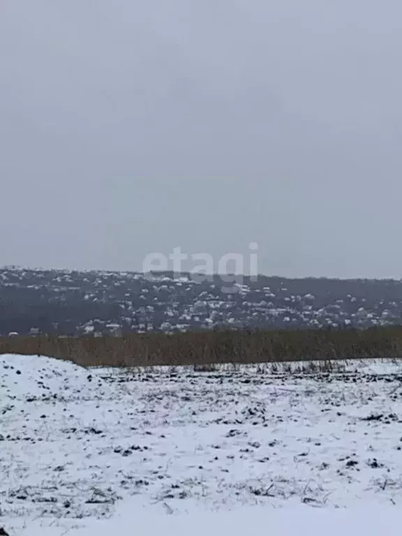 Участок в Белгородская область, Белгородский район, Головинское с/пос, ... - Фото 2