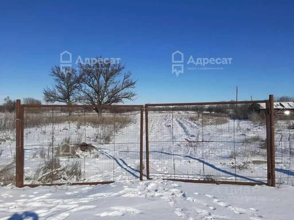 Участок в Волгоградская область, Городищенский район, Паньшинское ... - Фото 2