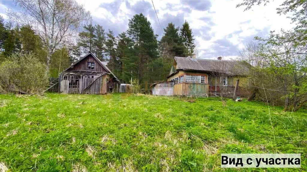 Участок в Ленинградская область, Сясьстрой Волховский район, ... - Фото 1