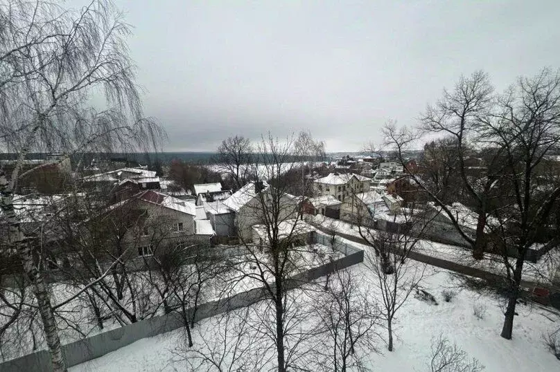 2-к кв. Калужская область, Калуга ул. Добровольского, 14 (48.0 м) - Фото 2