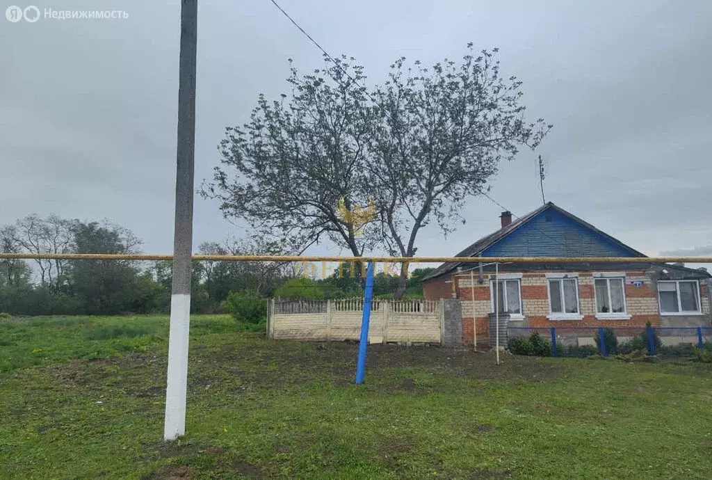 Дом в Прохоровский район, Шаховское сельское поселение, село Шахово ... - Фото 0