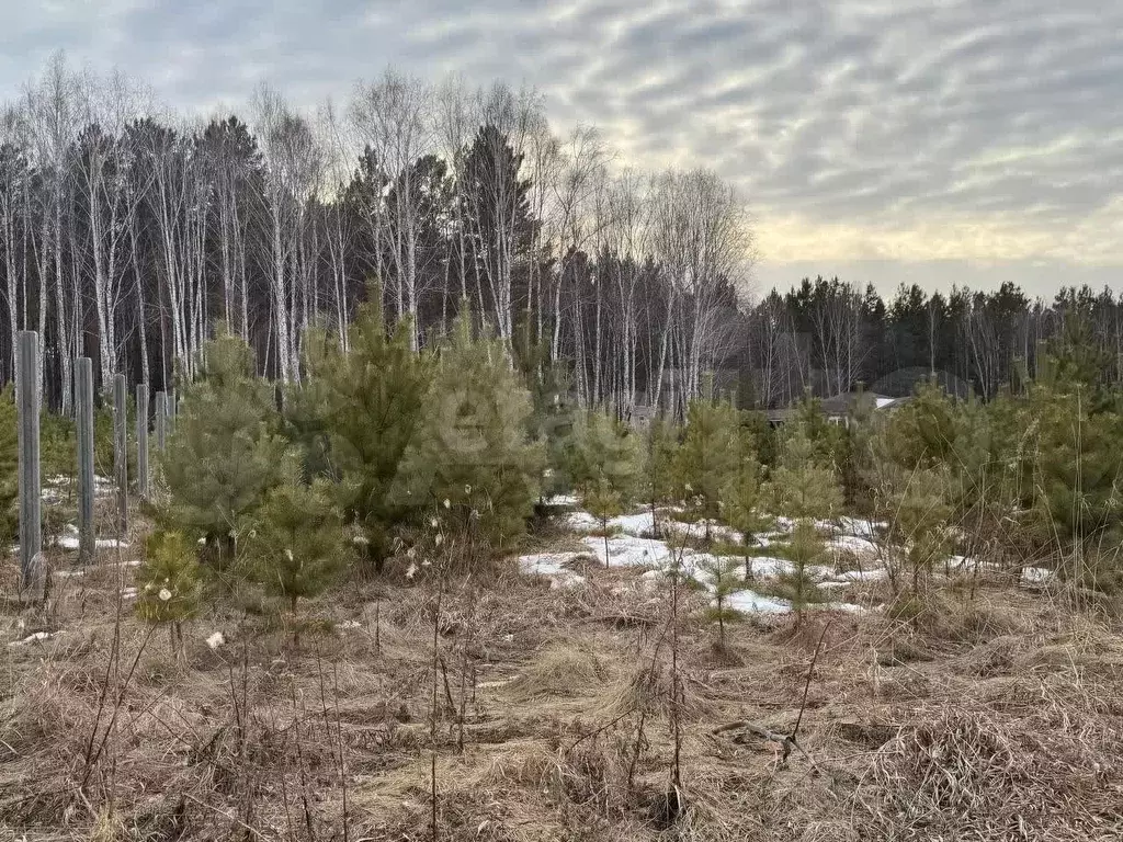 Участок 15 сот. (ИЖС) - Фото 0