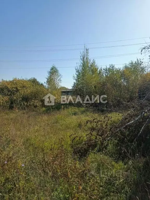 Участок в Владимирская область, Гусь-Хрустальный район, Золотково ... - Фото 0