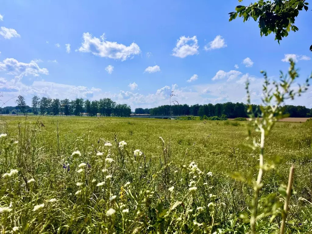 Участок в Тамбовская область, Тамбовский муниципальный округ, с. ... - Фото 2