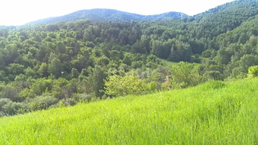 Участок в Смоленский район, село Сычёвка (850 м) - Фото 1