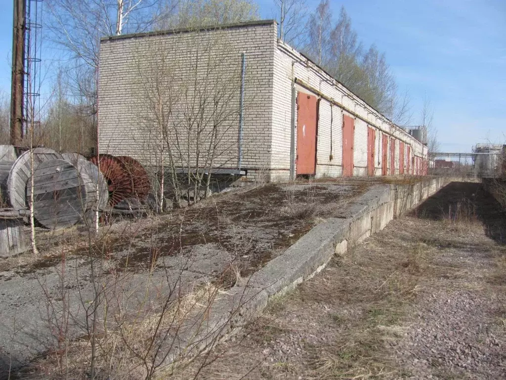 Склад в Ленинградская область, Кириши ш. Энтузиастов, 32 (3619 м) - Фото 2