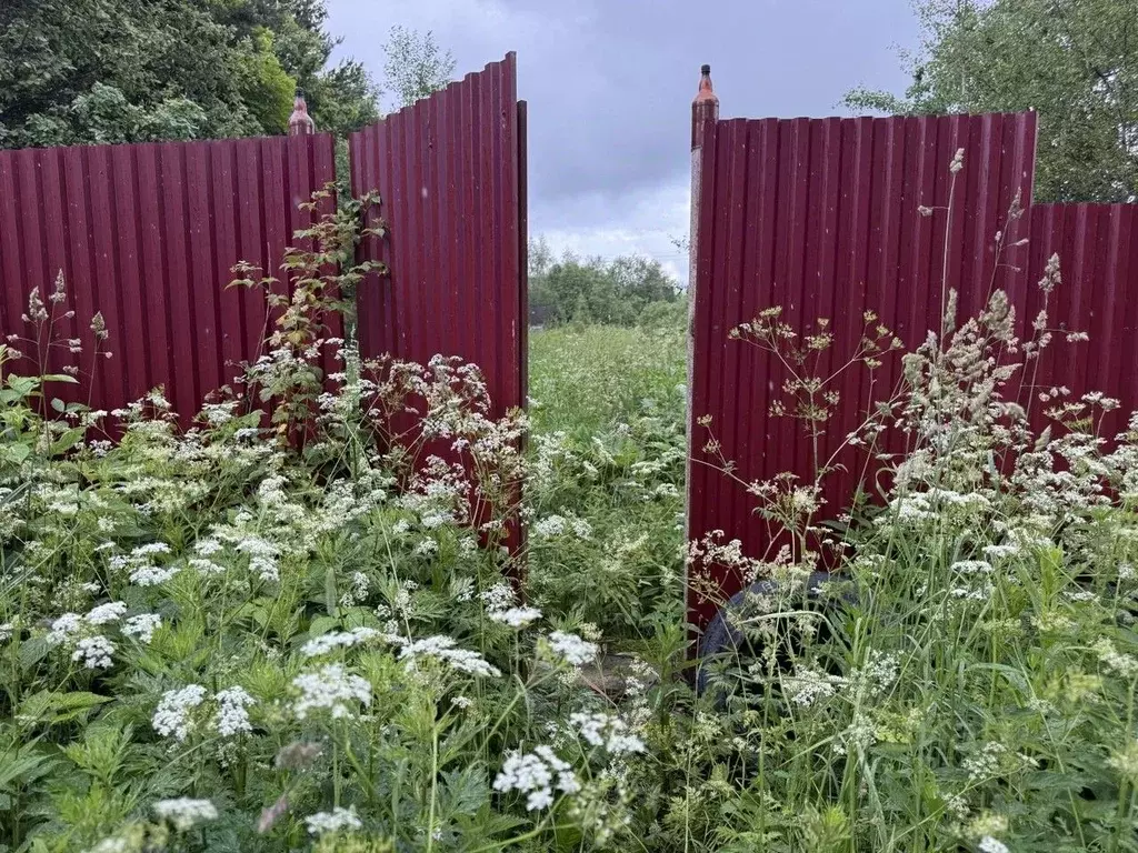Участок в Московская область, Пушкинский городской округ, Ашукино пгт ... - Фото 1