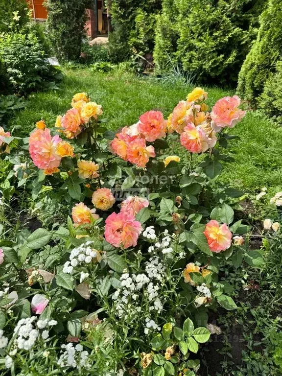 Дом в Челябинская область, Челябинск ул. Кудрина, 38 (204 м) - Фото 1