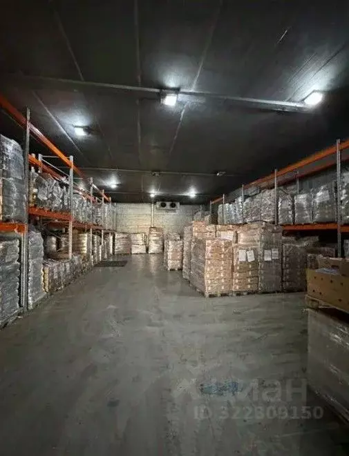 Склад в Санкт-Петербург просп. Непокоренных, 63И (420 м) - Фото 1