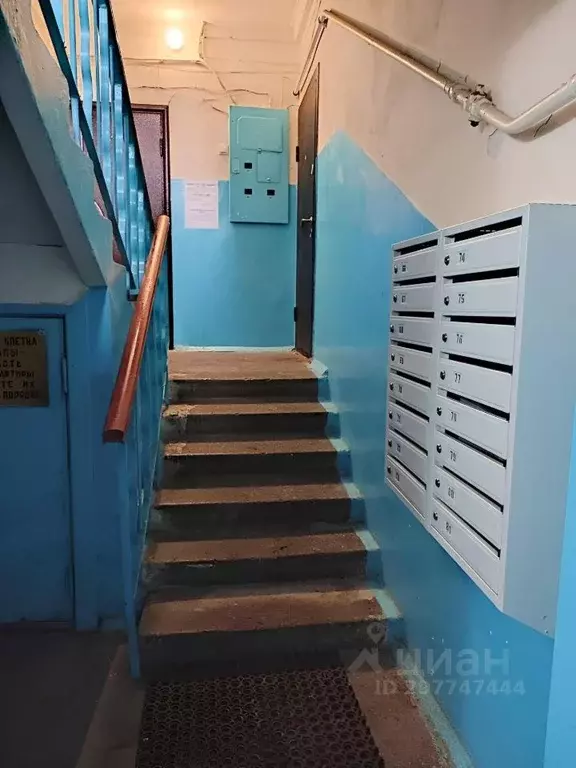 Помещение свободного назначения в Воронежская область, Воронеж ... - Фото 1