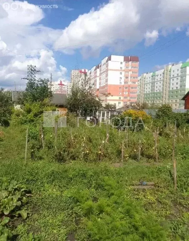Участок в Барнаул, СНТ Ракета, 644 (6.08 м) - Фото 1