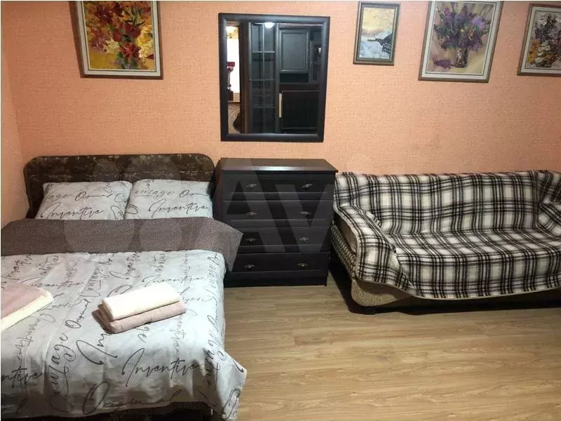 1-к. квартира, 25 м, 1/2 эт. - Фото 0