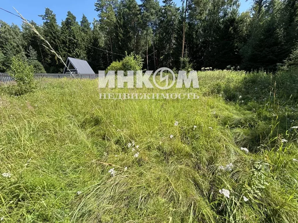 Участок в Московская область, Богородский городской округ, Русичи СНТ ... - Фото 1