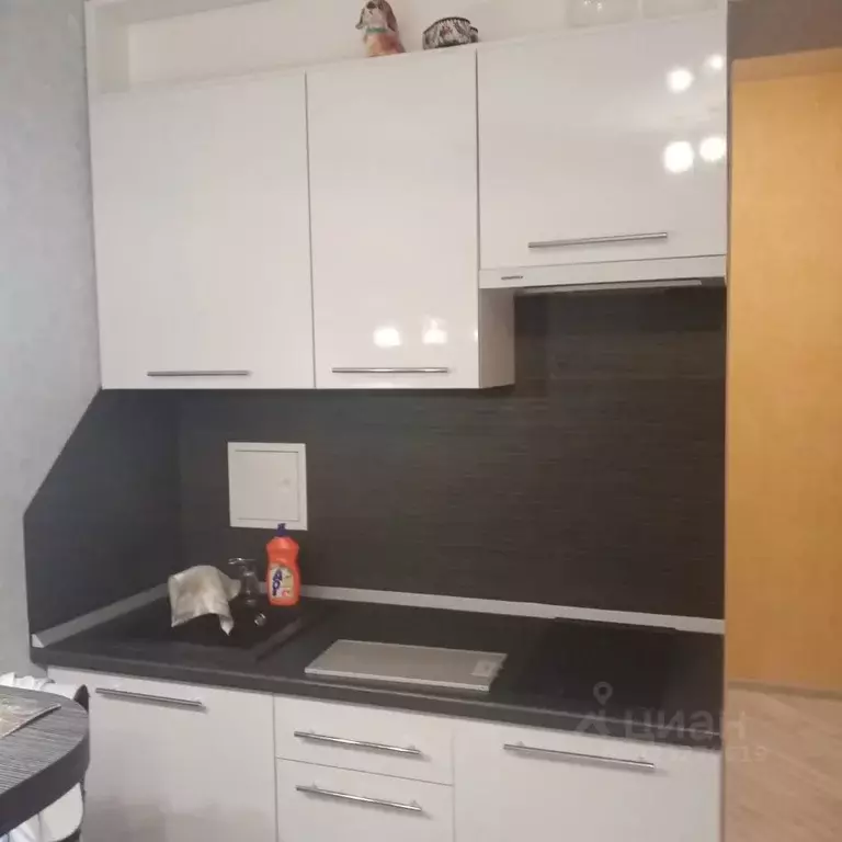 Студия Краснодарский край, Краснодар Имени Петра Метальникова мкр, ул. ... - Фото 1