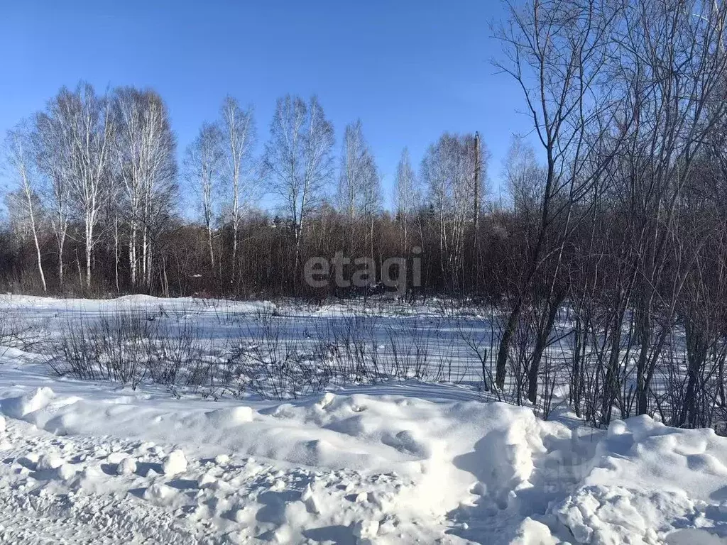 Участок в Амурская область, Благовещенский район, с. Новотроицкое ... - Фото 2