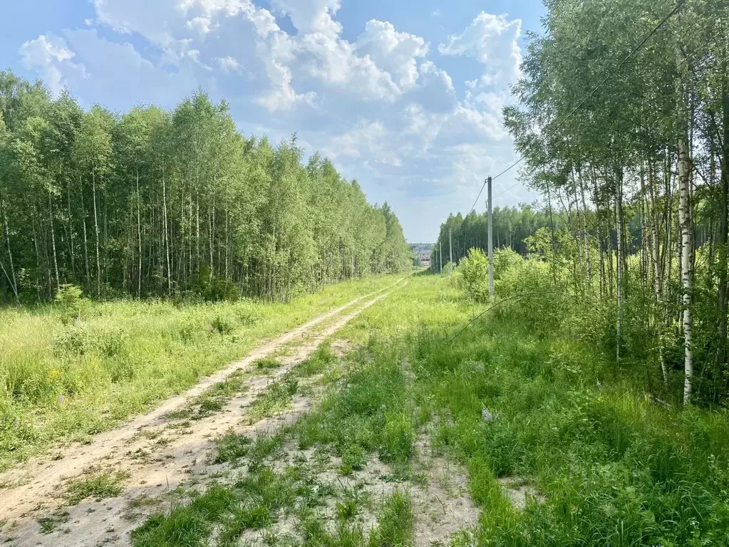 Участок в Владимирская область, Александровский район, Андреевское ... - Фото 0