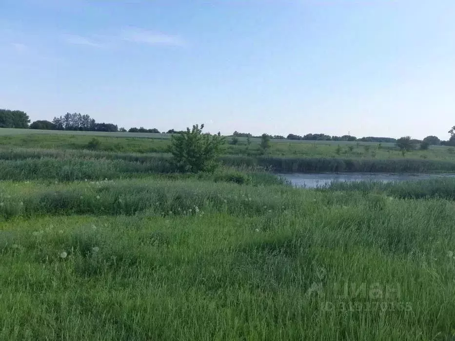 Участок в Московская область, Клин городской округ, д. Троицкое  ... - Фото 0