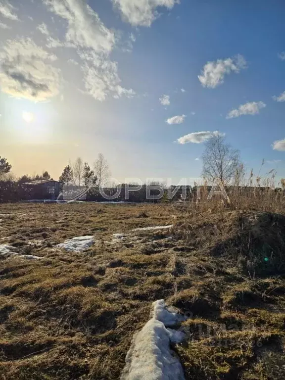 Участок в Тюменская область, Тюменский муниципальный округ, Лоза СНТ ... - Фото 2