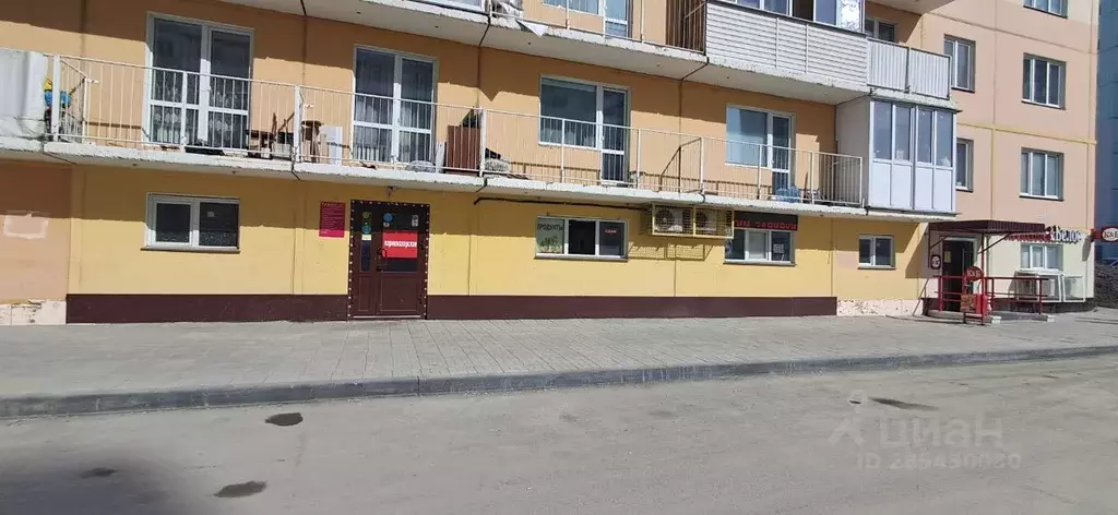 Помещение свободного назначения в Новосибирская область, Новосибирск ... - Фото 2