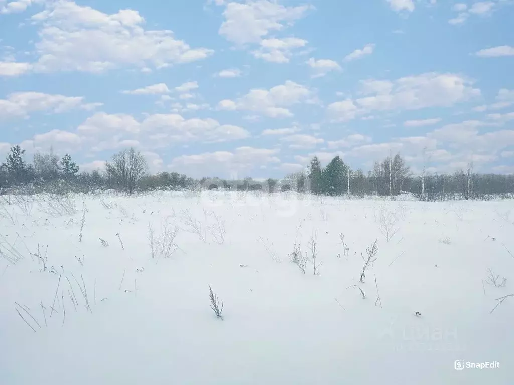 Участок в Костромская область, Кострома Соколиное Гнездо кп,  (9.45 ... - Фото 1