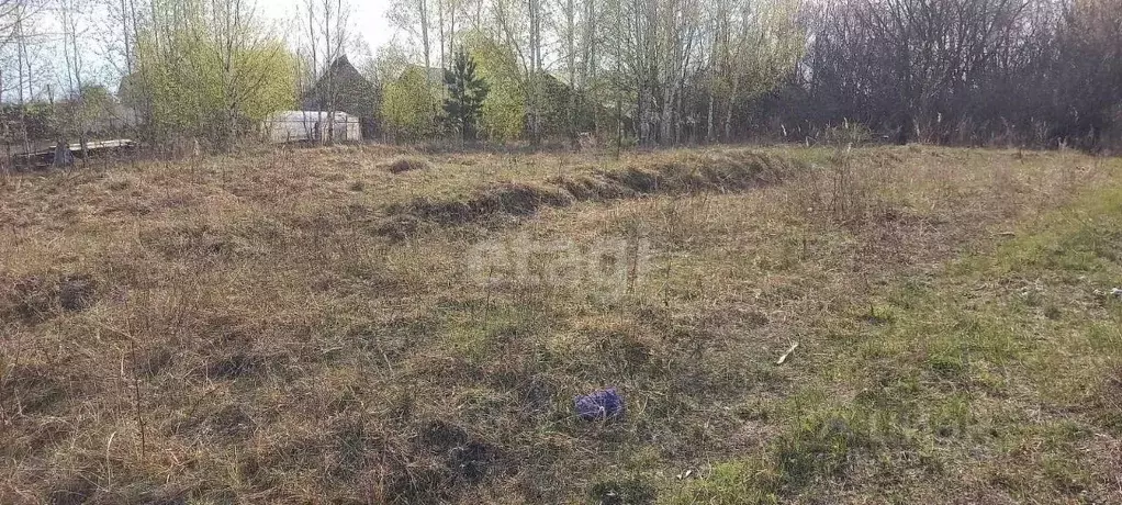 Участок в Нижегородская область, Выкса городской округ, ... - Фото 1