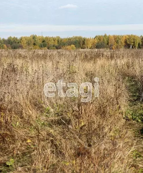 Участок в Псковская область, Псковский район, д. Корлы  (39.0 сот.) - Фото 1