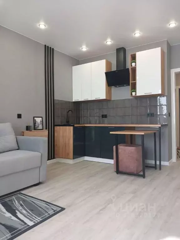 Студия Новосибирская область, Новосибирск Светлановская ул., 52/2 ... - Фото 2