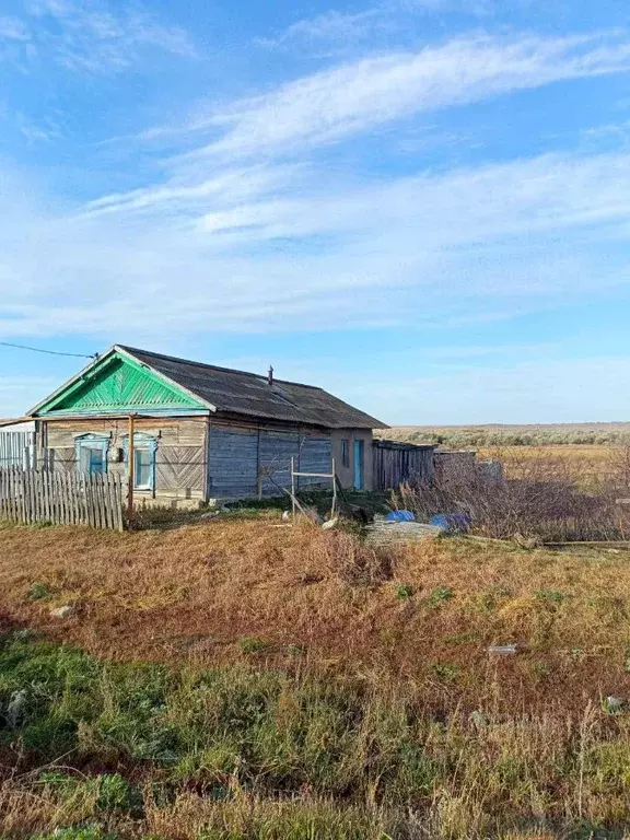 Свободной планировки кв. Самарская область, Алексеевский район, ... - Фото 1