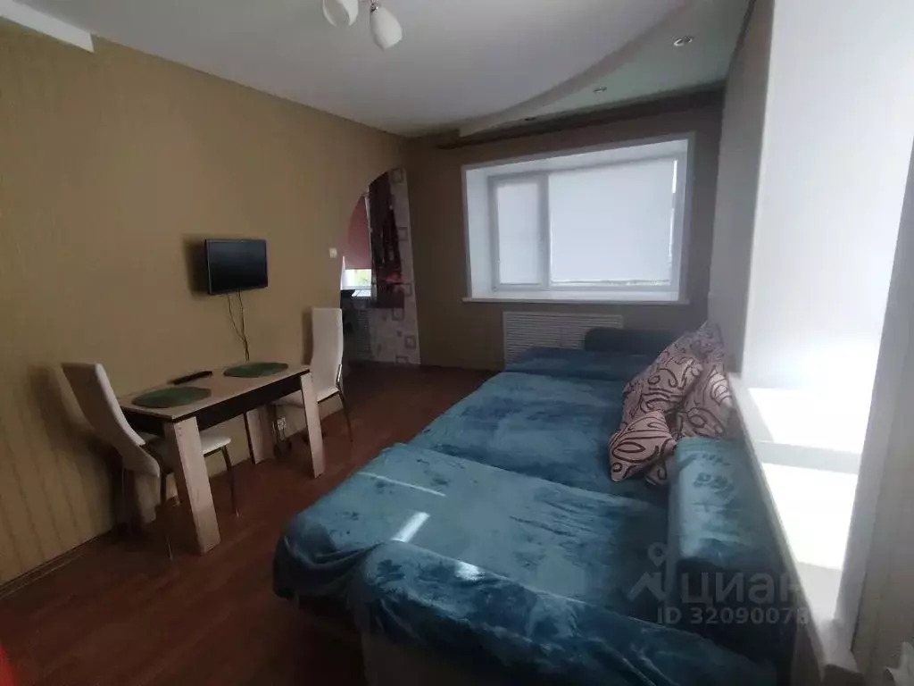 Студия Владимирская область, Гороховец ул. Льва Толстого, 41 (33.0 м) - Фото 1