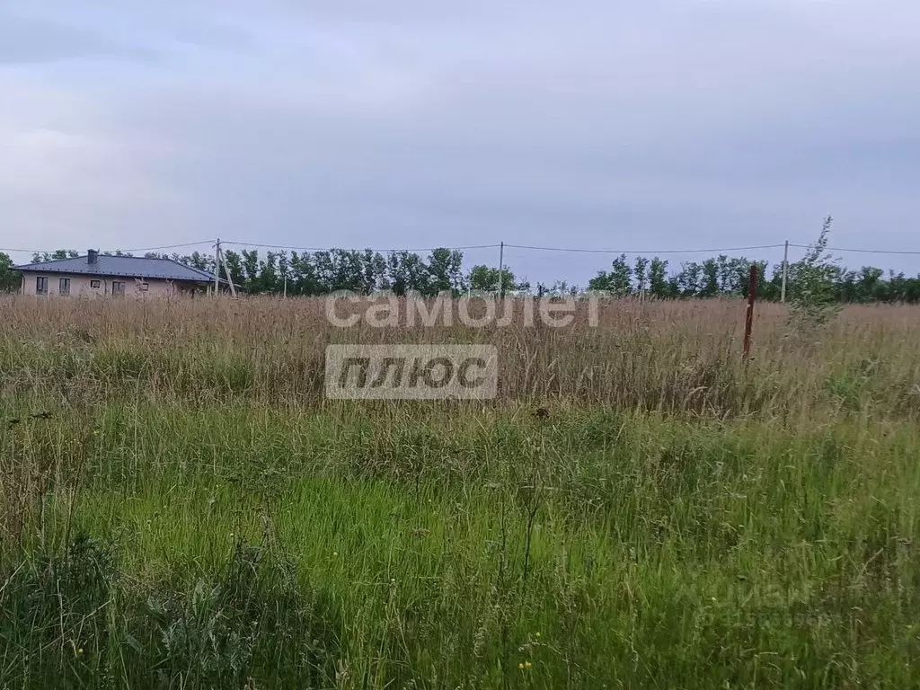 Участок в Курская область, Курск  (10.0 сот.) - Фото 0