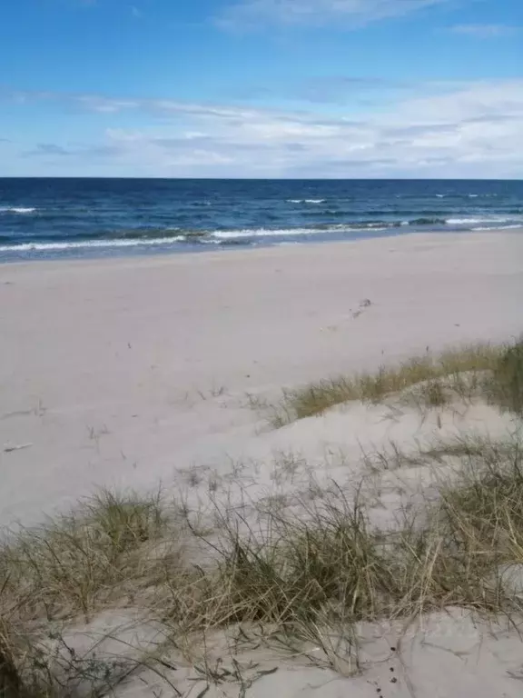 Участок в Калининградская область, Зеленоградский муниципальный округ, ... - Фото 2