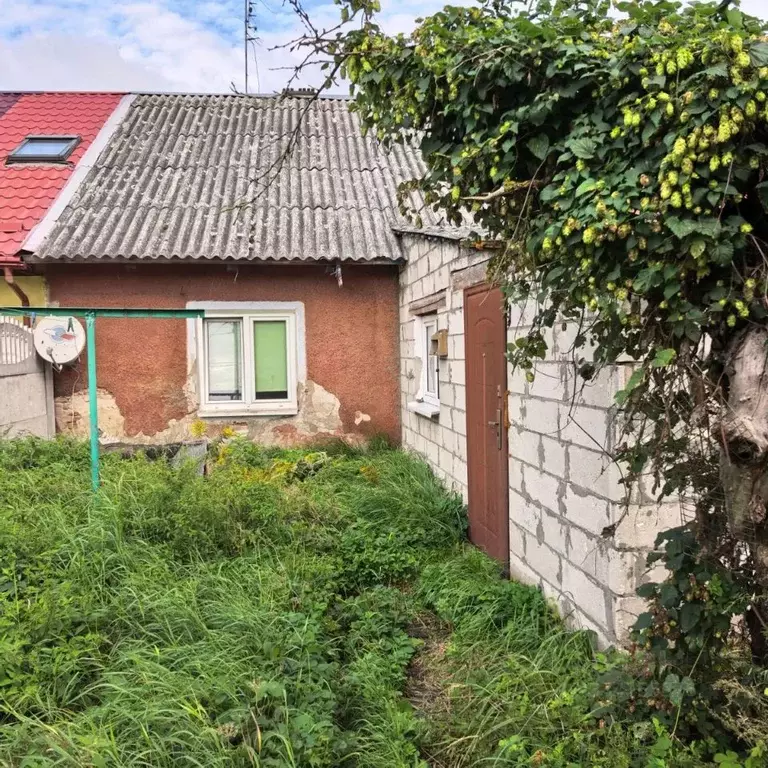 2-к кв. Калининградская область, Светлый ул. Кирова, 10 (46.0 м) - Фото 1