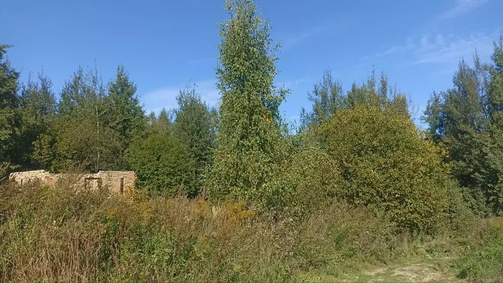 Участок в Нижегородская область, Нижний Новгород Культура с/пос,  ... - Фото 1