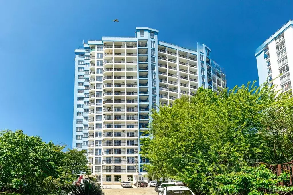 Студия Краснодарский край, Сочи городской округ, Дагомыс пгт ул. ... - Фото 1