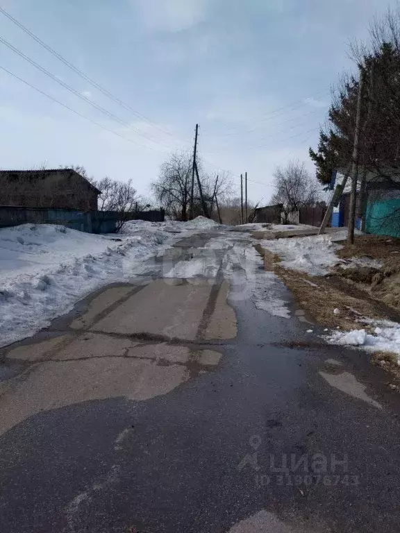 Дом в Амурская область, Тамбовский муниципальный округ, с. Раздольное ... - Фото 1