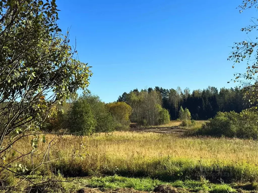 Участок в Московская область, Дмитровский муниципальный округ, Ерыково ... - Фото 1