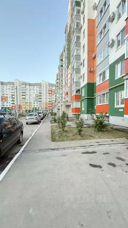 1-к кв. Волгоградская область, Волжский ул. Имени О.В. Скрипки, 3 ... - Фото 0