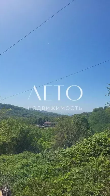 Участок в Краснодарский край, Сочи городской округ, с. Сергей-Поле ... - Фото 1