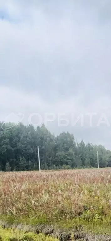 Участок в Тюменская область, Тюменский муниципальный округ, с. Кулига, ... - Фото 1