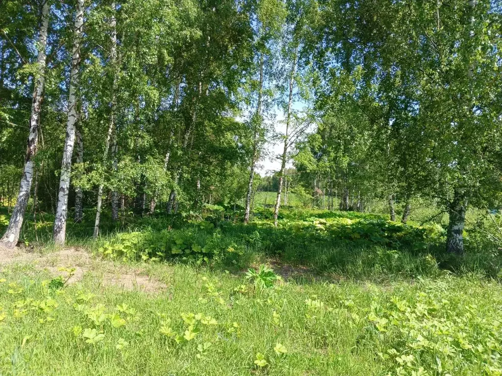 Участок в Тверская область, Кимрский муниципальный округ, Деревня ... - Фото 2