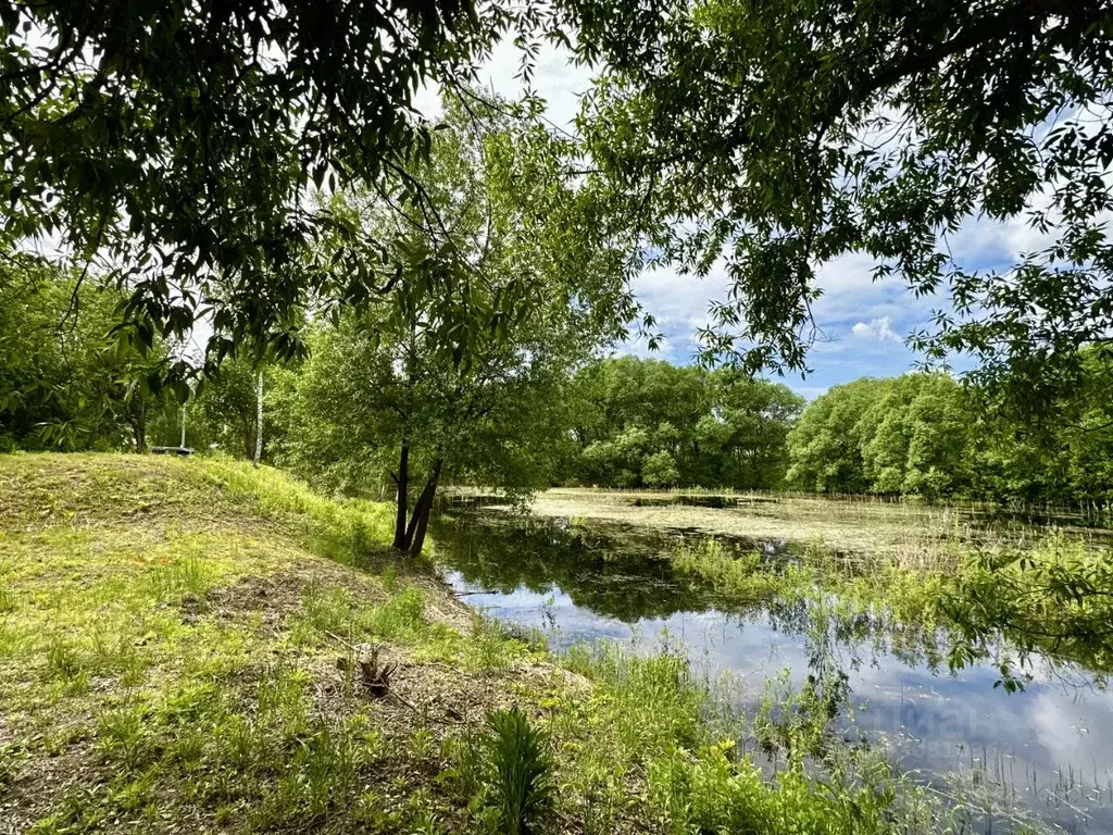 Дом в Московская область, Одинцовский городской округ, д. Сальково ул. ... - Фото 1