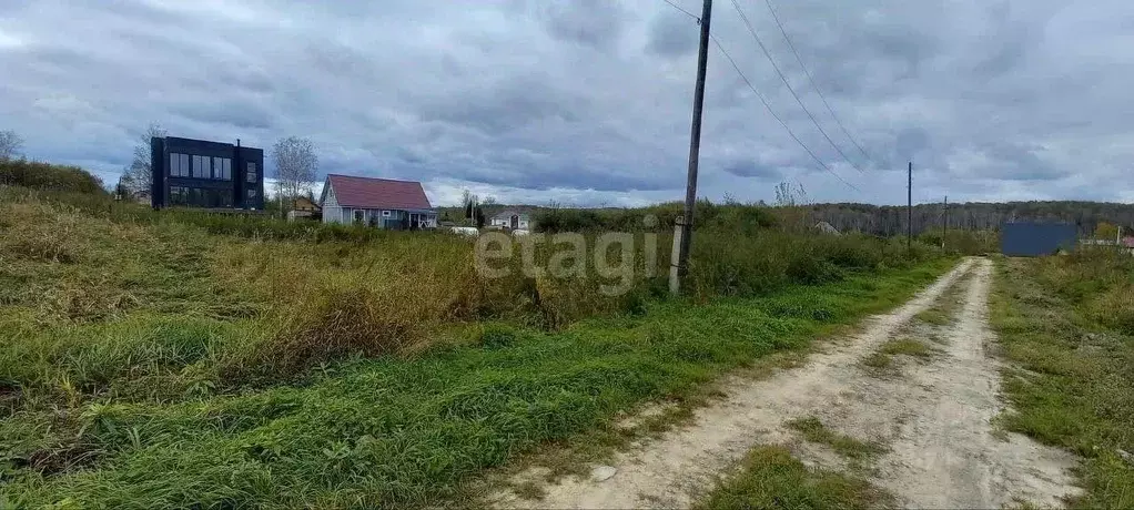 Участок в Новосибирская область, Новосибирский район, Барышевский ... - Фото 1