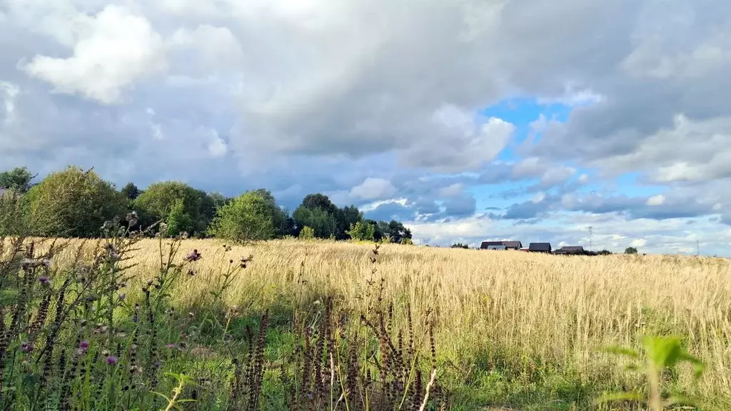 Участок в Калужская область, Тарусский район, Кузьмищево с/пос, д. ... - Фото 2