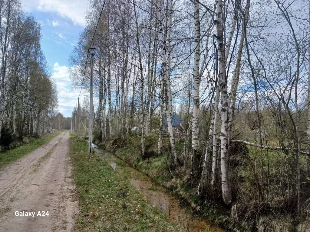 Участок 24 сот. (СНТ, ДНП) - Фото 0